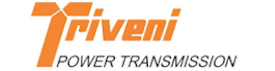 Triveni Gears
